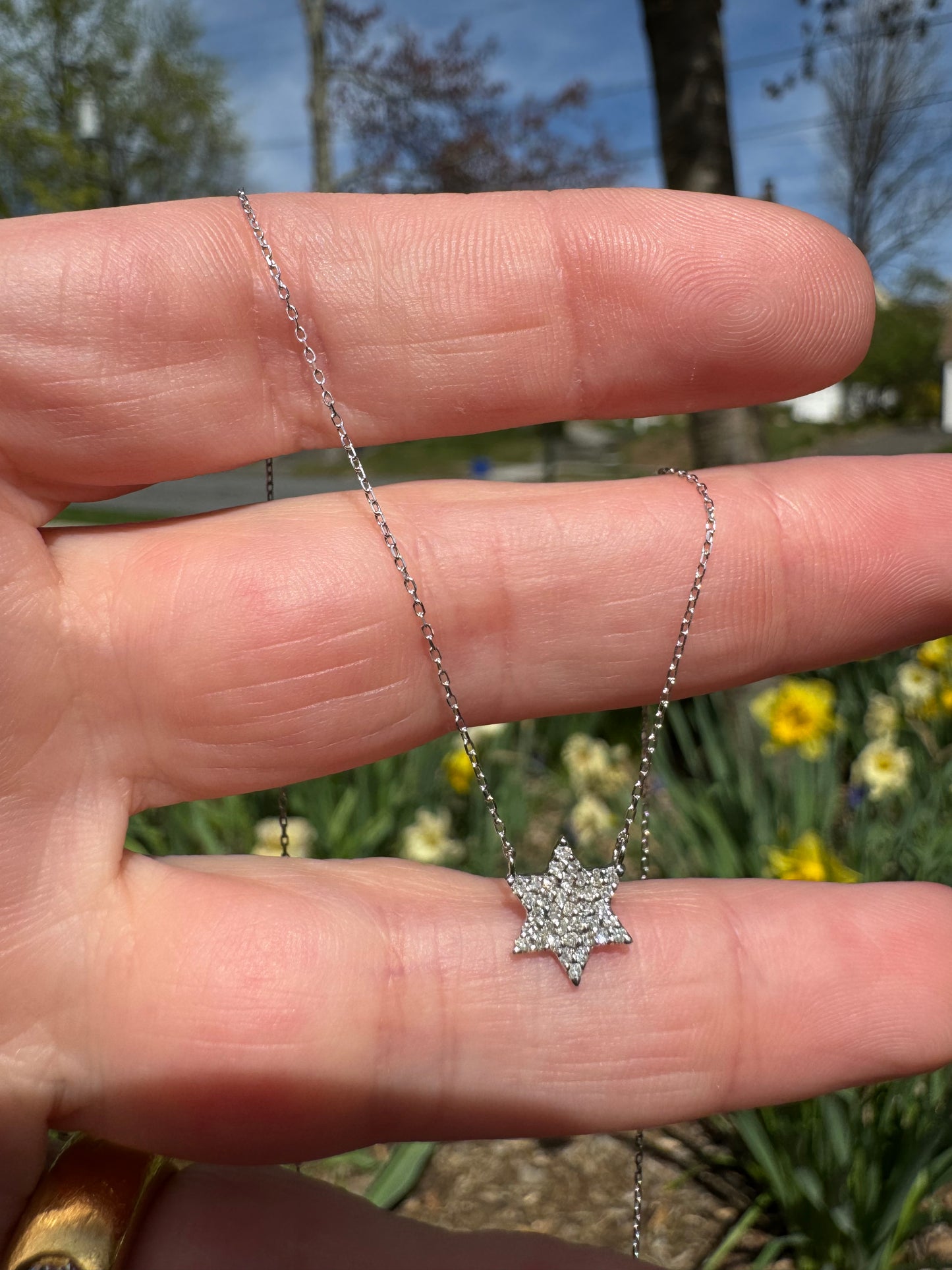 14k white gold diamond Star of David necklace