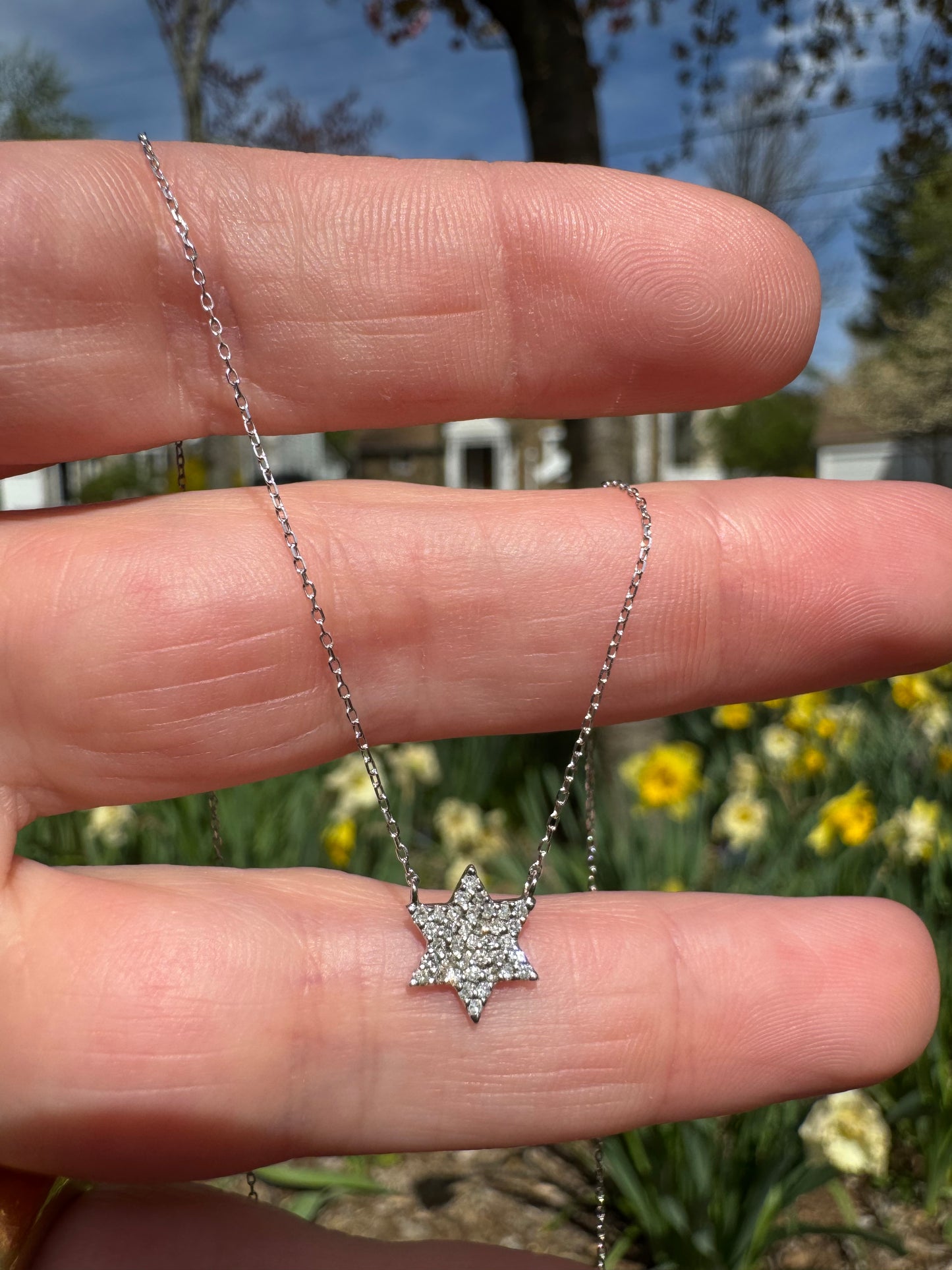 14k white gold diamond Star of David necklace