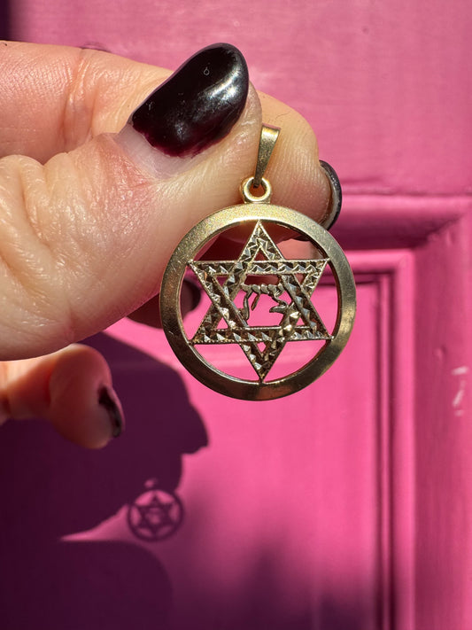 14k Star of David Zion charm
