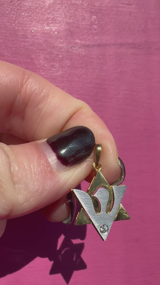 18k 2-tone and diamond shin/dove Star of David charm